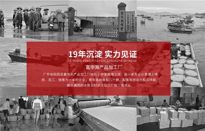 蝦皮工廠直供 高明區(qū)富華海產(chǎn)品加工廠開啟日用百貨銷售新篇章