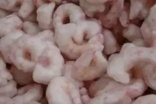 選水產品，究竟是活鮮好還是凍鮮好？——從食品安全與日常烹飪角度探討