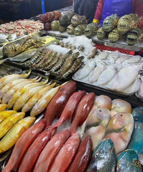 免租半年，搶占先機！博羅水西農貿綜合批發市場水產海鮮一級批發平臺盛裝啟幕