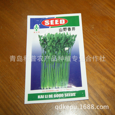 優(yōu)質(zhì)香芹種子廠家供應(yīng) 高產(chǎn)芹菜種苗助您增收