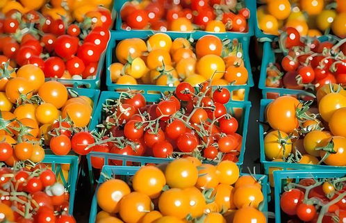 村村通冷鏈 構建土特產產銷一體化生態集群，激活產業鏈新動能