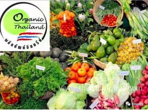 阿披拉迪 推動有機農產品走出國門，讓泰國土特產香飄世界