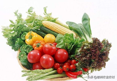 嶺南珍饈進(jìn)京來 廣東名特優(yōu)新農(nóng)產(chǎn)品閃耀京城